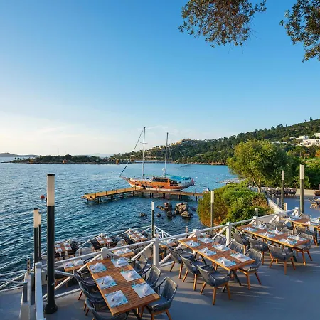 Semesteranläggning (resort) Rixos Premium Bodrum Torba
