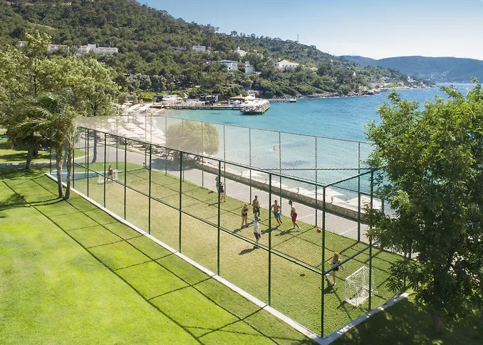 리조트 Rixos Premium Bodrum 토르바